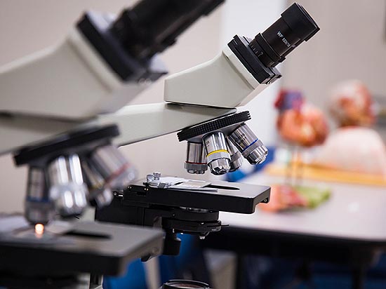 Microscopes in a lab