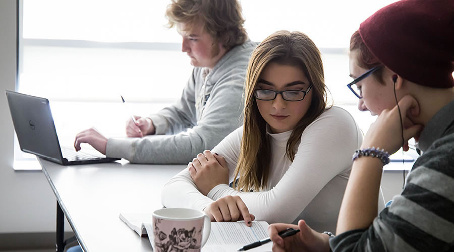 Students having discussion and reviewing textbook