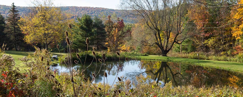 East Hill Campus. A small pond surrounded by trees and native plants.